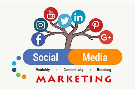 Digital Media Marketing